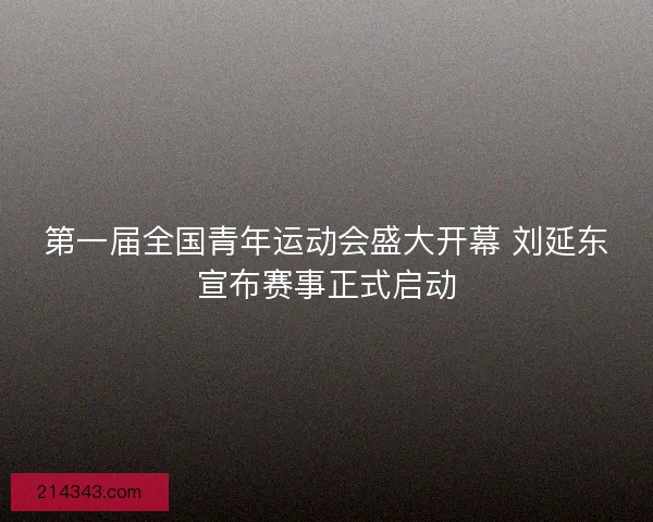 第一届全国青年运动会盛大开幕 刘延东宣布赛事正式启动