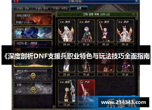 《深度剖析DNF支援兵职业特色与玩法技巧全面指南》
